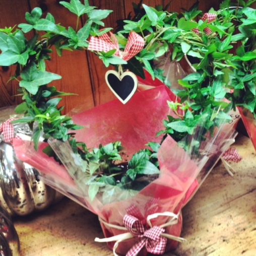Ivy heart, Karen the Florist, Valentines Day